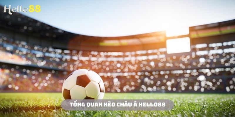 Thể loại được xem như là “Vua” của các dạng cược bóng đá